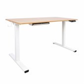 Desk ERGO with 1 motor 120x60xH73-121cm, white/ oak