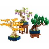 10373 Mini Bonsai Trees