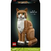 21376 Orange Cat