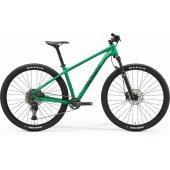 Big.Nine 400 IV1 silk dandelion green/ black XL