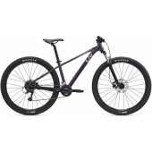 Tempt 3 29" Tyrian Purple (S)
