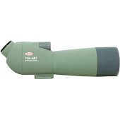 TSN-601