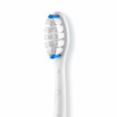 SonicYou light-green SY1PE1LG001