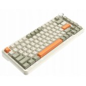 AK820 Max Retro Colour Flying Fish Switch (EN)