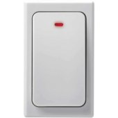 Replacement Button P5729