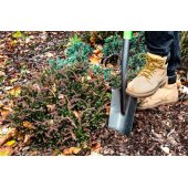 15G014 Shovel