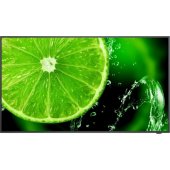 MultiSync E328-2 31.5" IPS 16:9