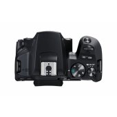 EOS-250D kit 18-55 IS STM