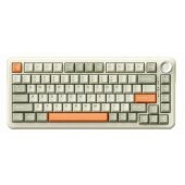 AK820 Max Retro Colour Flying Fish Switch (EN)