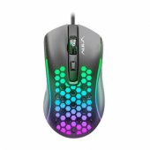 S11 Rainbow