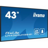 ProLite LH4365UHSB-B1 42.5" IPS 16:9