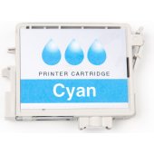 C13T04A240 Cyan