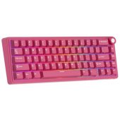 R65 Berry Red Cream Switch (EN)