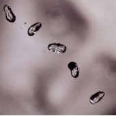 PETER GABRIEL "Up"