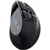 23731 Voxx Black