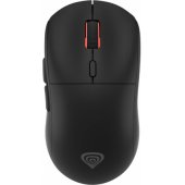Zircon XIII Custom Wireless RGB Black