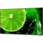MultiSync E438 42.5" IPS 16:9