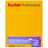 Professional Portra 160 4x5 10 Sheets