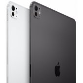 iPad Pro 11" M4 WiFi+Cellular 2TB Standard glass Silver MVW83HC/ A