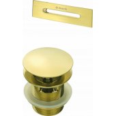 Deante Bathtub accessory set - plug and overflow !
