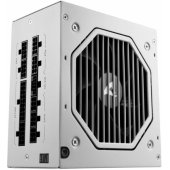 Rebel P20 Gold 850W White
