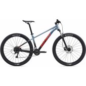 Talon 3 29" Frost Silver (M)