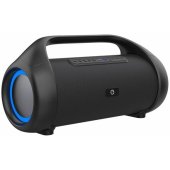 SPK310