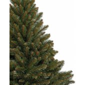 CT0081 180cm