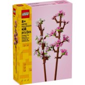 Cherry Blossoms 40725