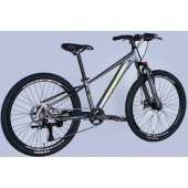ZEPHYR 3.0 DD CS 24" 12" Gray/ Green