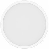 Smart Ceiling Light D20