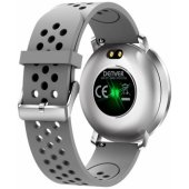 SW-171 Gray/ Silver