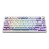 AK820 Max Magnetic switches Purple-White-Blue (US)