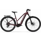 SX 10sp S(15″) 29” Cranberry Red