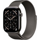 Watch Series 11 Cellular 42mm Slate Titanium / Slate Milanese Loop
