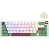R65 Green Brown Switch (EN)