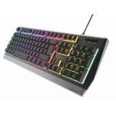 Rhod 300 RGB (EN)