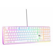 RK918 White Brown Switch (US)
