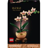 Mini Orchid 10343