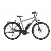 eTrekking 4.7 Diamond L Bronze/ Gray Matt