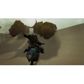 Monster Hunter Wilds Xbox X