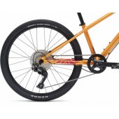 Y/ 1 MOUNTIAN 24" Gloss Orange