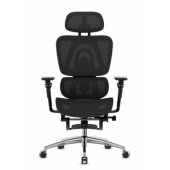 Expert 7.9 Black