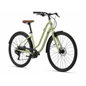 Flourish 3 Disc Muscat Blanc L