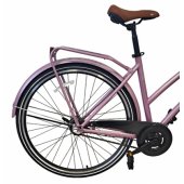 28 Serenity (PR10010419) 19" Pink/ Silver