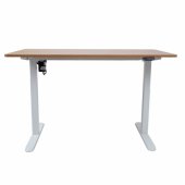 Desk ERGO LIGHT with 1 motor 120x60cm, white/ wood