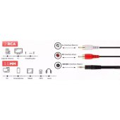 RF027 3,5 mm <-> 2 x RCA 3m