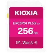 SDXC 256GB Class 10 LNPL2M256GG4