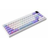 AK650 Dream Weaver Switch Purple-White-Blue (EN)