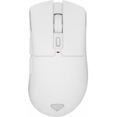 Zircon 880 Pro White